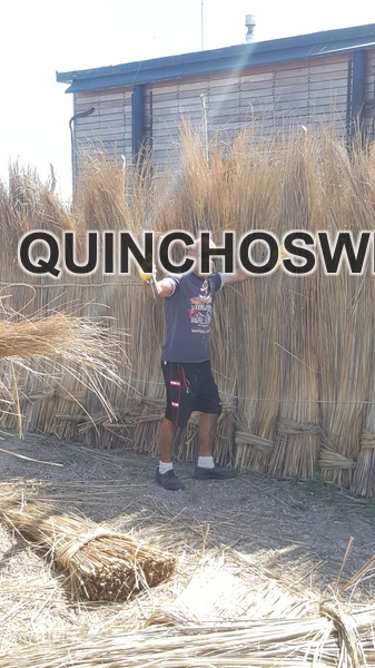 Quinchos (10).jpeg