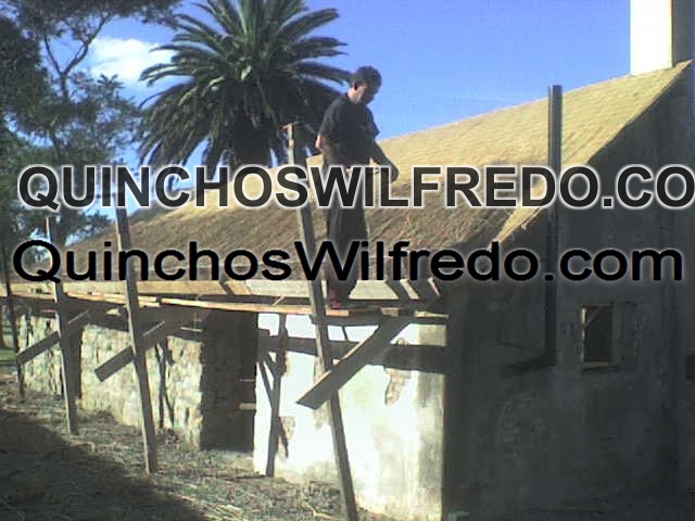 Quinchos Wilfredo
