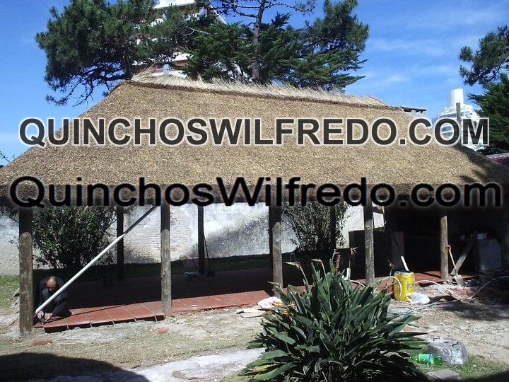 Quinchos Wilfredo