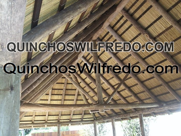 Quinchos Wilfredo