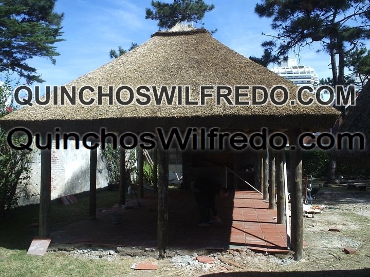 Quinchos Wilfredo
