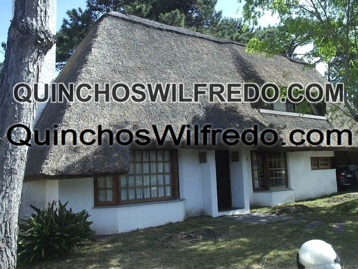 Quinchos Wilfredo