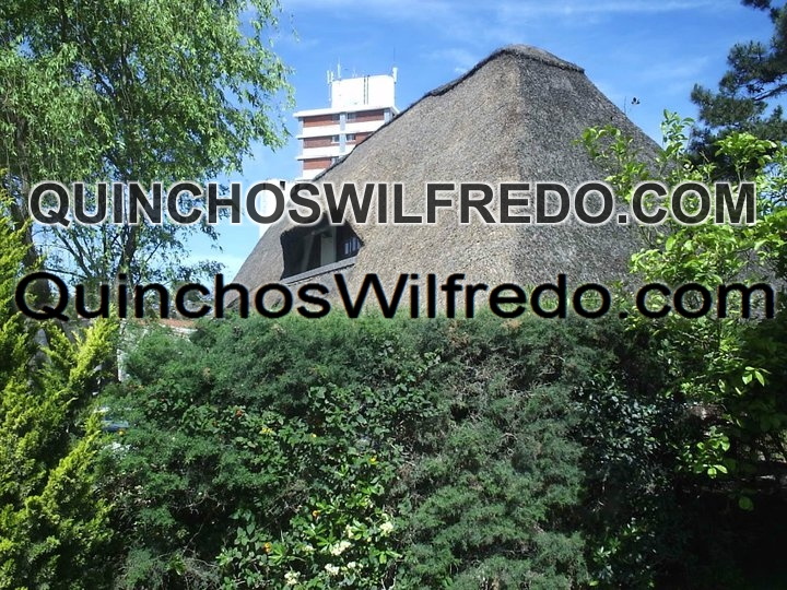 Quinchos Wilfredo