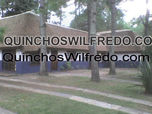 Quinchos Wilfredo