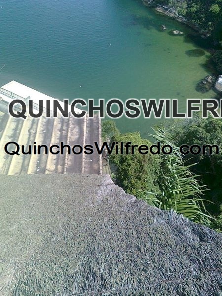 Quinchos Wilfredo