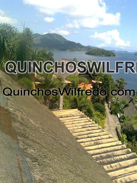 Quinchos Wilfredo