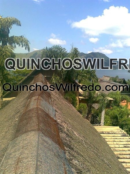 Quinchos Wilfredo