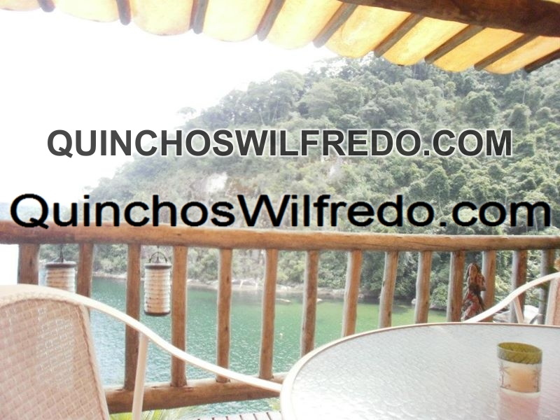 Quinchos Wilfredo