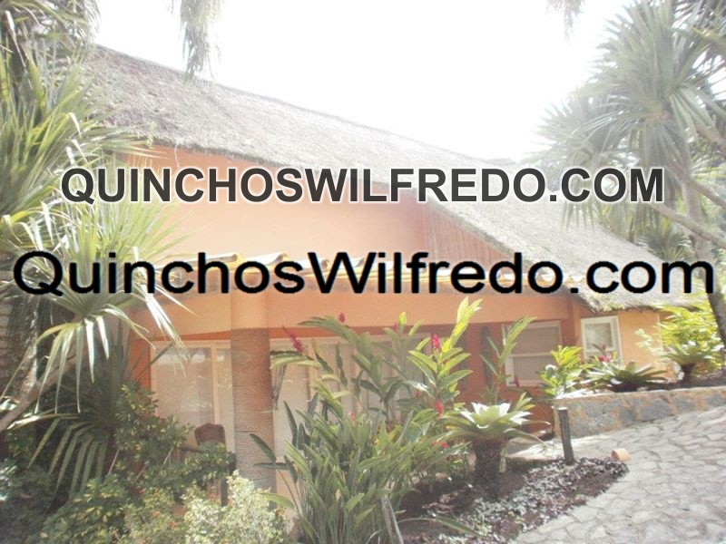 Quinchos Wilfredo