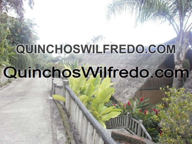 Quinchos Wilfredo