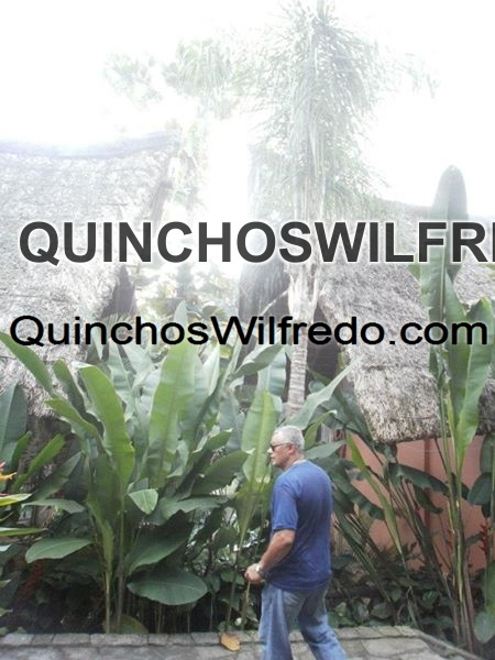 Quinchos Wilfredo
