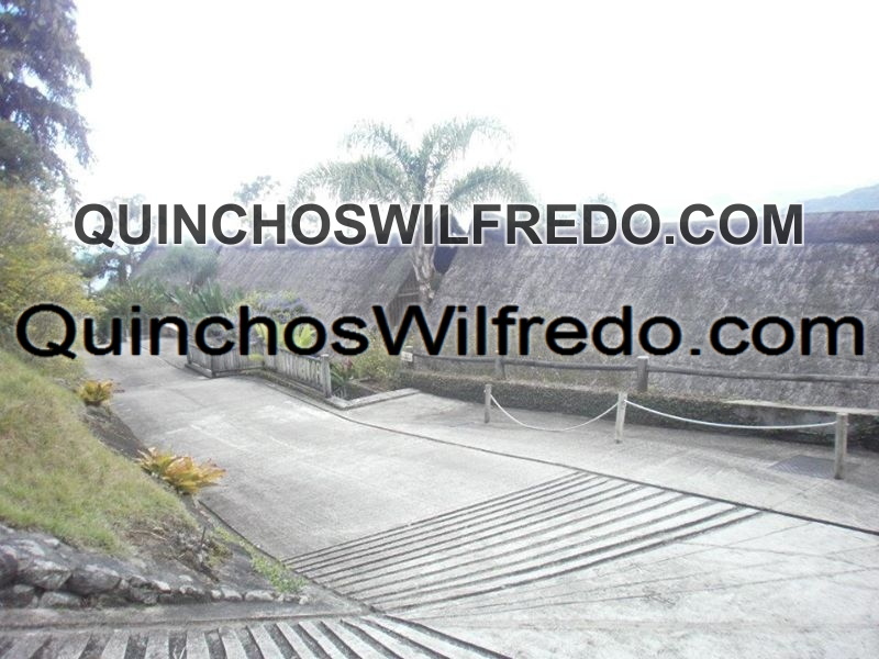 Quinchos Wilfredo