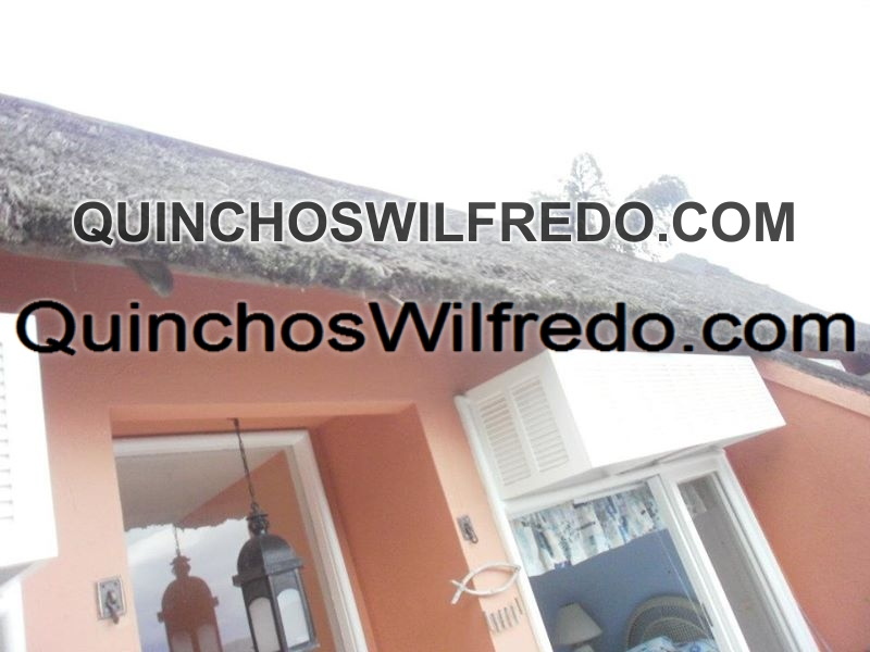 Quinchos Wilfredo