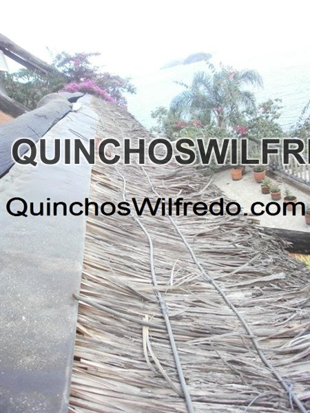 Quinchos Wilfredo
