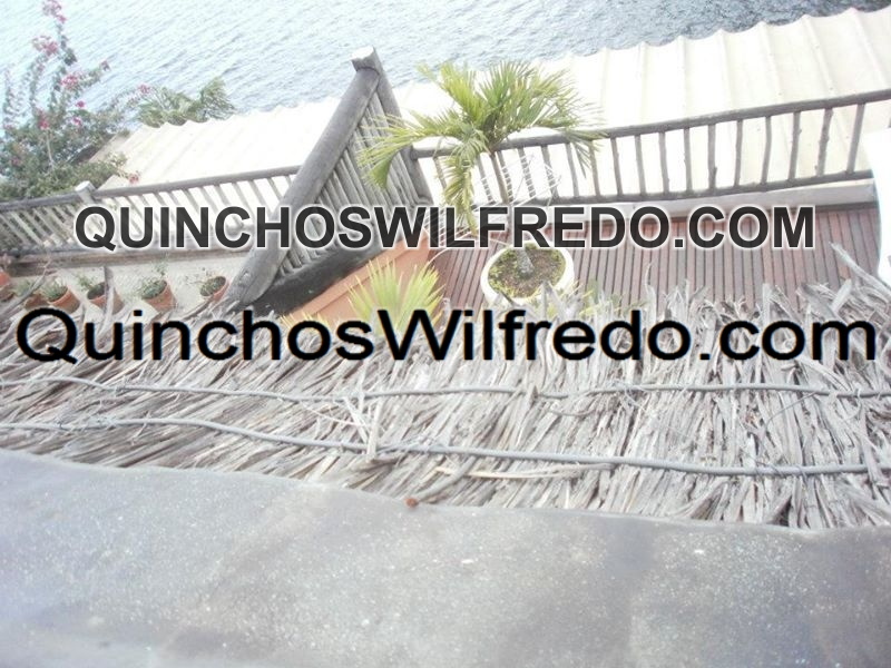 Quinchos Wilfredo