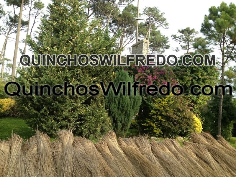 Quinchos Wilfredo