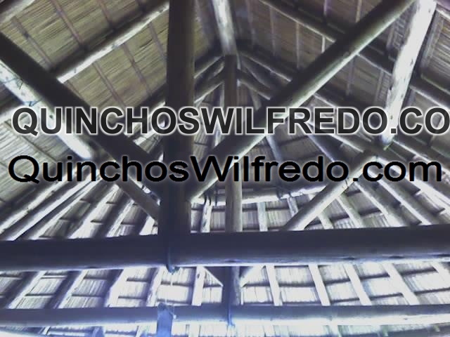 Quinchos Wilfredo