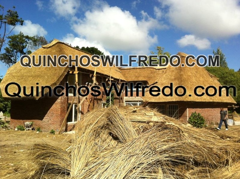 Quinchos Wilfredo