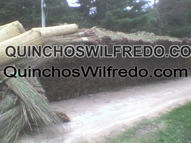 Quinchos Wilfredo
