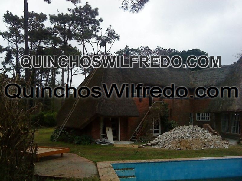 Quinchos Wilfredo