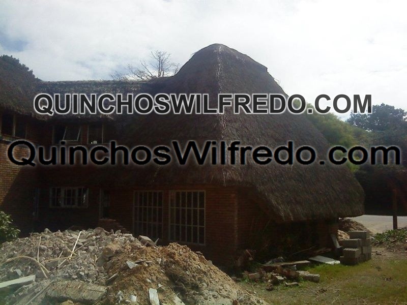 Quinchos Wilfredo