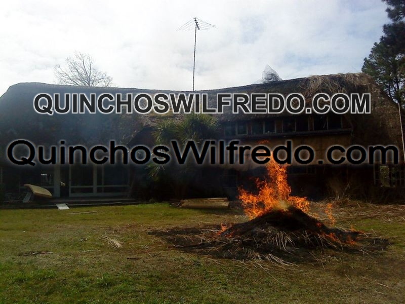 Quinchos Wilfredo