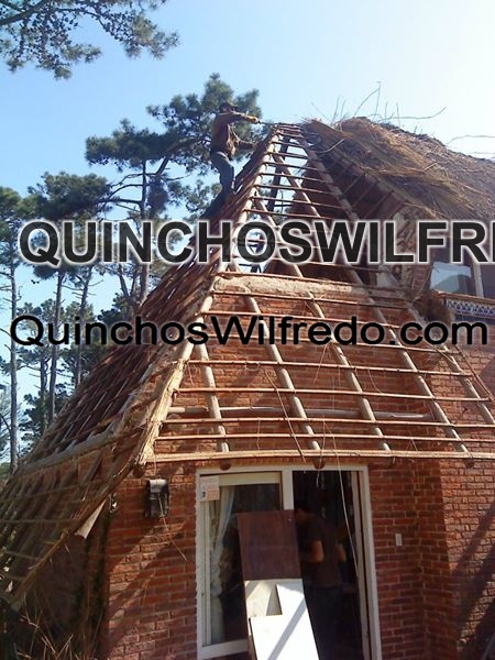 Quinchos Wilfredo