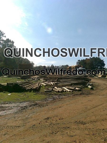 Quinchos Wilfredo