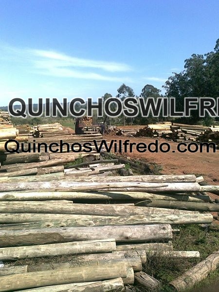 Quinchos Wilfredo