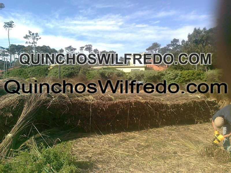 Quinchos Wilfredo