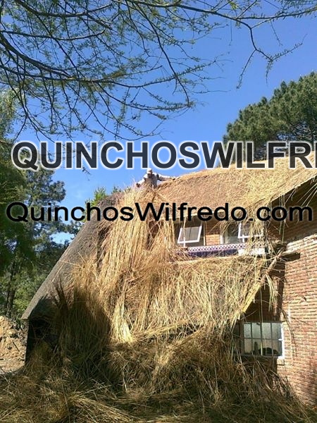 Quinchos Wilfredo