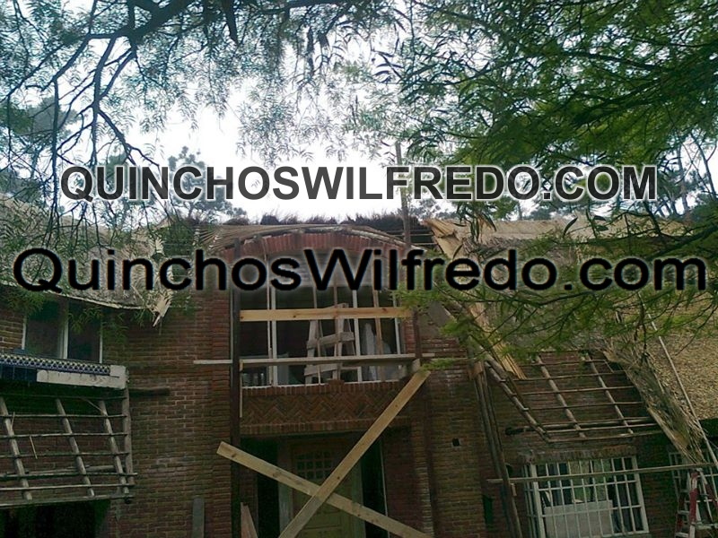 Quinchos Wilfredo