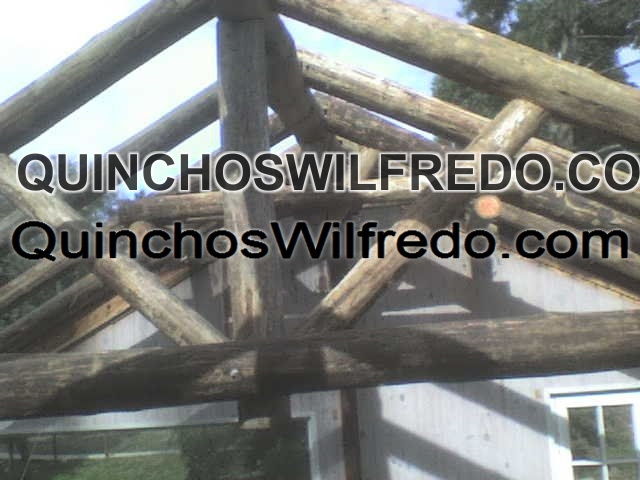 Quinchos Wilfredo
