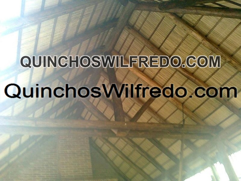 Quinchos Wilfredo