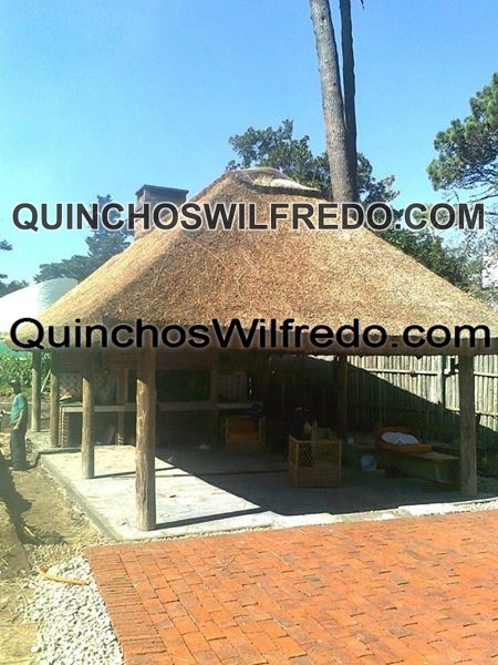 Quinchos Wilfredo