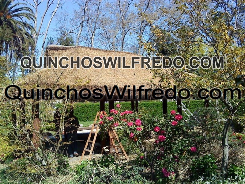 Quinchos Wilfredo
