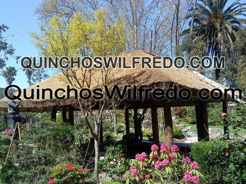 Quinchos Wilfredo
