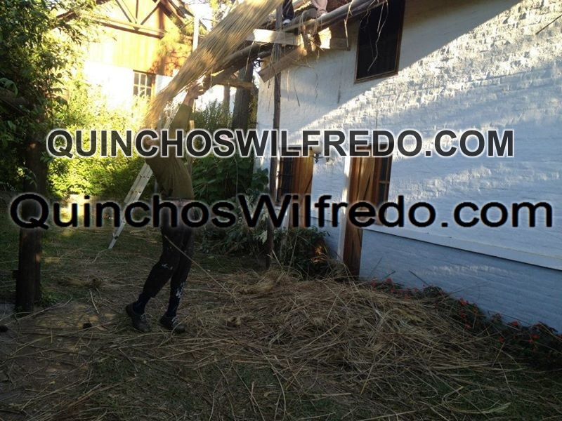 Quinchos Wilfredo