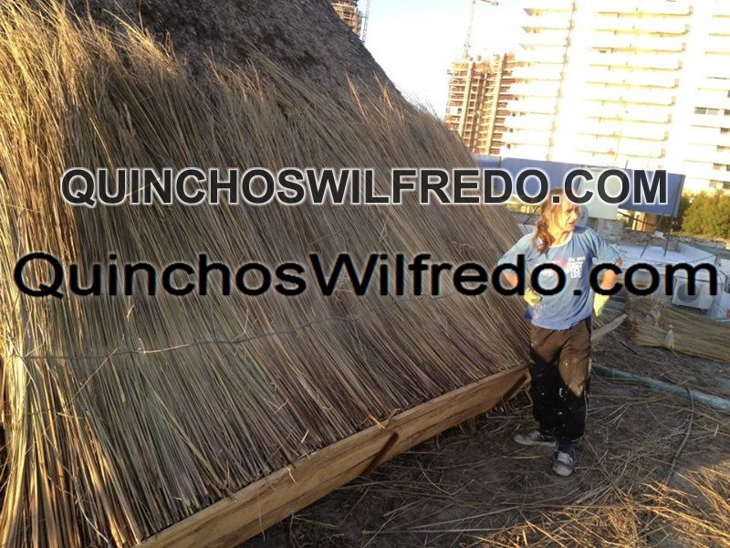 Quinchos Wilfredo
