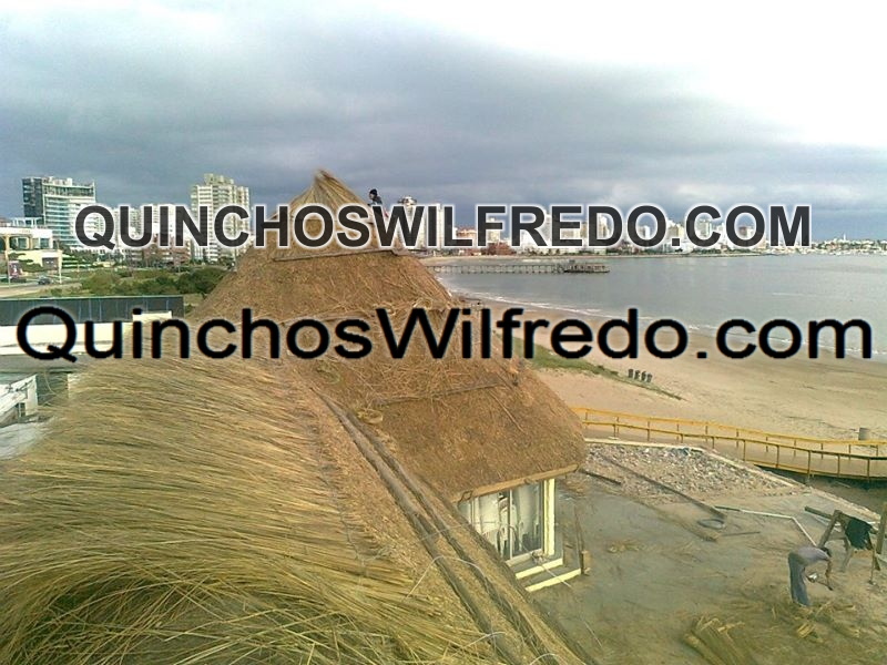 Quinchos Wilfredo