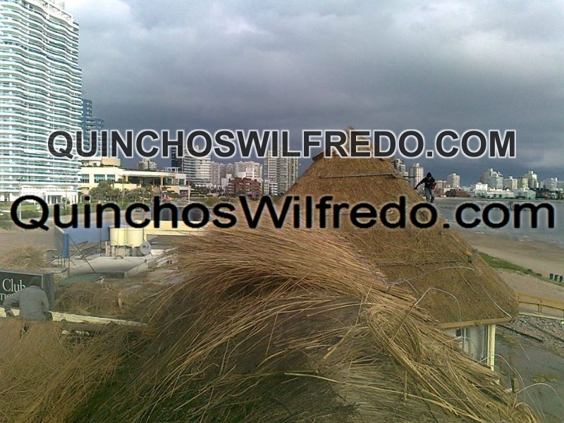 Quinchos Wilfredo