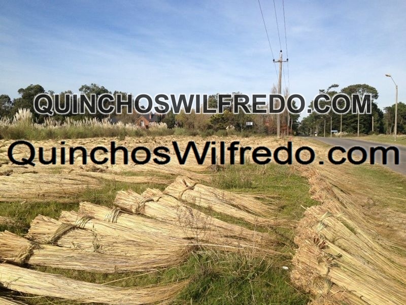 Quinchos Wilfredo