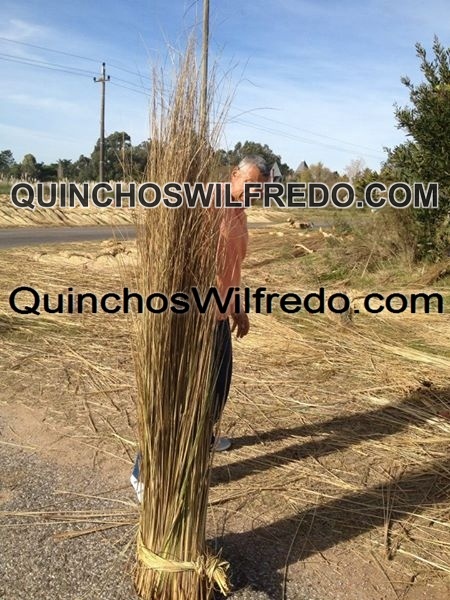 Quinchos Wilfredo