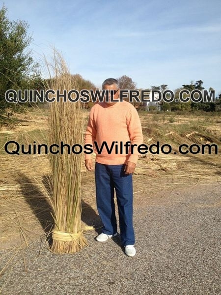 Quinchos Wilfredo