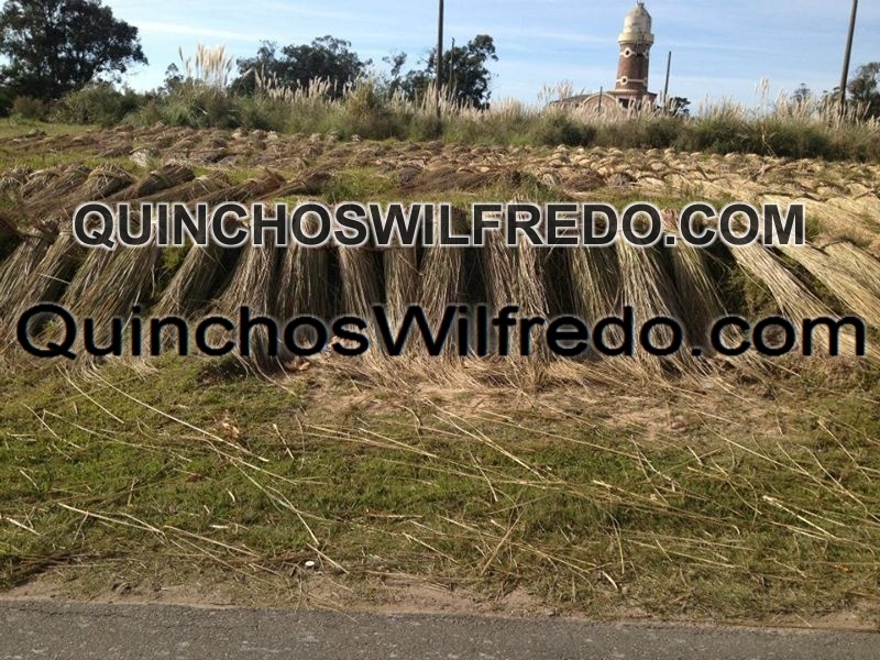 Quinchos Wilfredo