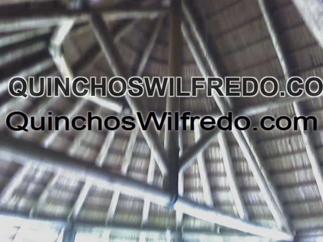 Quinchos Wilfredo