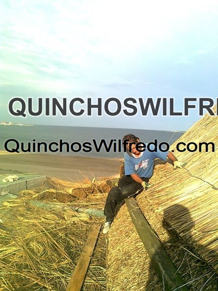 Quinchos Wilfredo