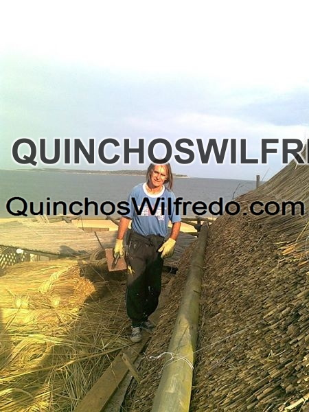 Quinchos Wilfredo