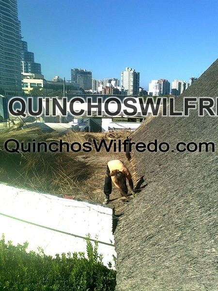 Quinchos Wilfredo