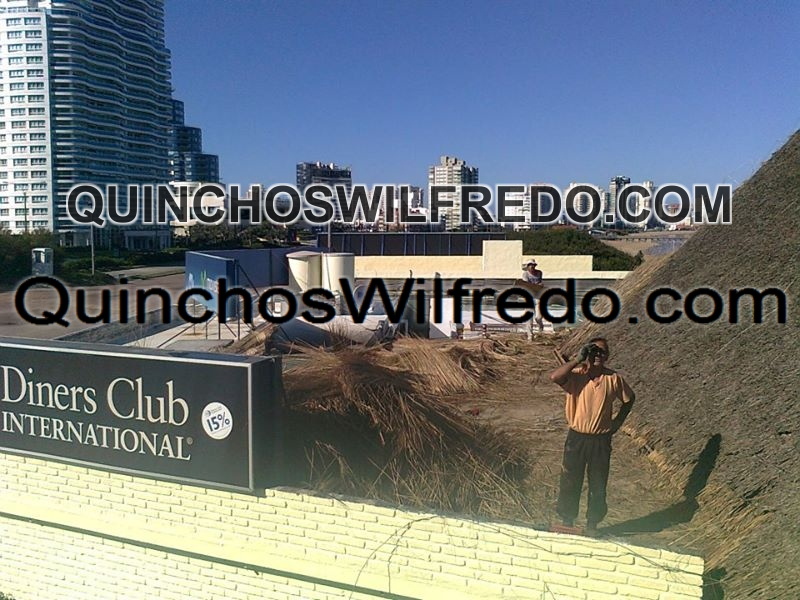 Quinchos Wilfredo